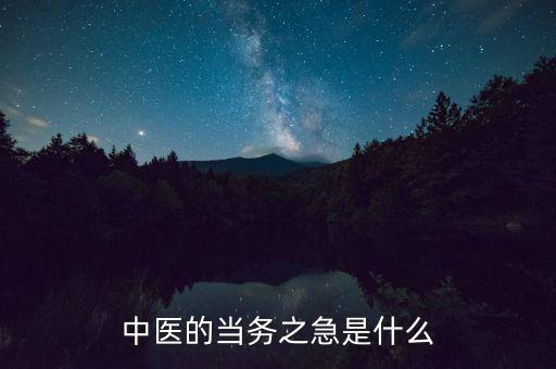 中醫(yī)的當務之急是什么