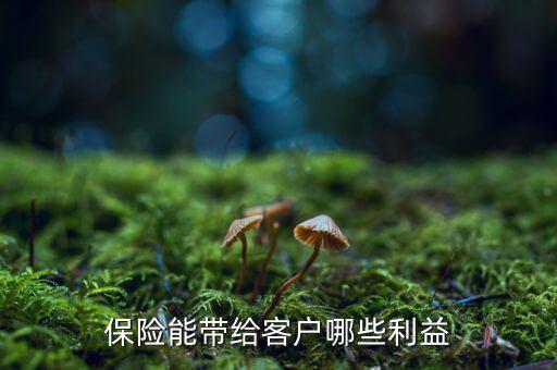 什么是客戶利益,保險(xiǎn)能帶給客戶哪些利益