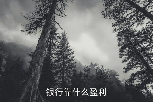 銀行靠什么盈利