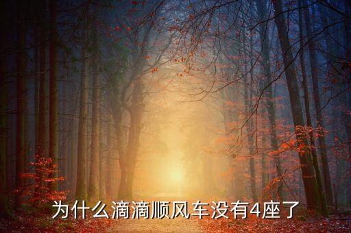 為什么順風(fēng)車(chē)沒(méi)有補(bǔ)貼,順風(fēng)車(chē)到底合不合法