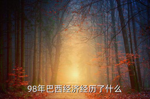 98年巴西經(jīng)濟經(jīng)歷了什么