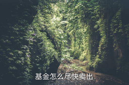 基金快速賣(mài)出什么意思,基金轉(zhuǎn)換和賣(mài)出有什么區(qū)別