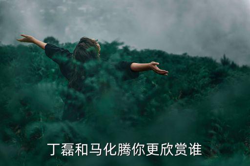 丁磊和馬化騰你更欣賞誰