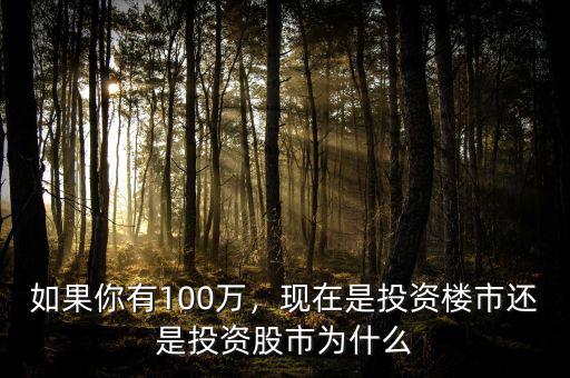 如果你有100萬，現(xiàn)在是投資樓市還是投資股市為什么