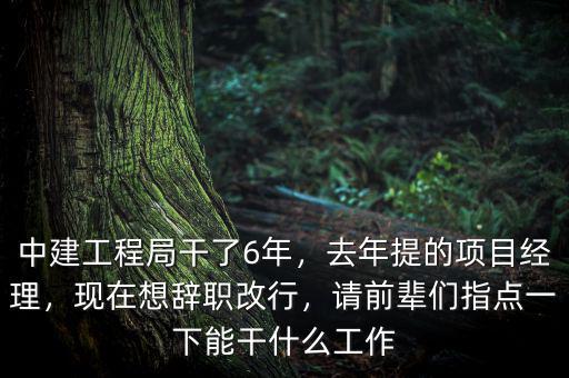 中建工程局干了6年，去年提的項目經(jīng)理，現(xiàn)在想辭職改行，請前輩們指點一下能干什么工作