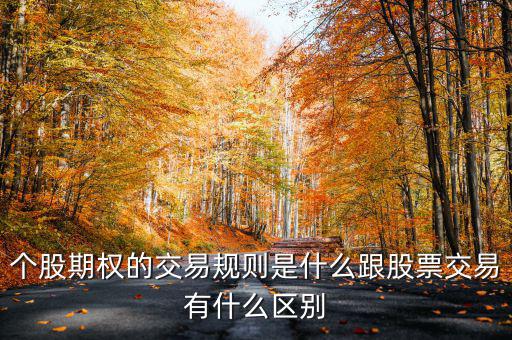 個股期權(quán)的交易規(guī)則是什么跟股票交易有什么區(qū)別