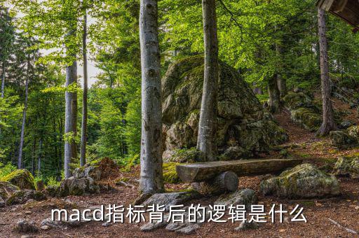 macd指標(biāo)是什么指標(biāo),短線用什么指標(biāo)