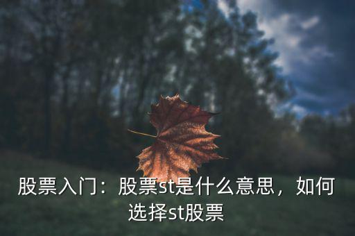 股票st怎么看,如何選擇st股票