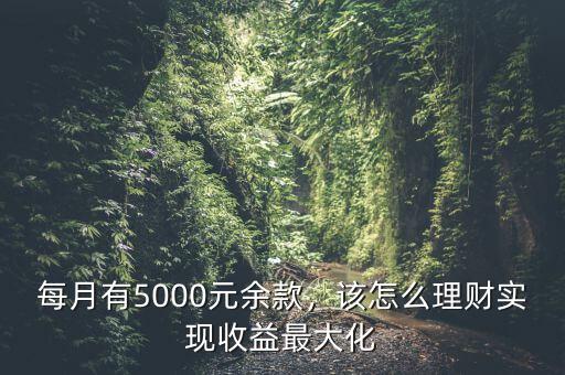 每月有5000元余款，該怎么理財(cái)實(shí)現(xiàn)收益最大化