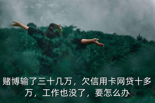 賭徒欠下信用卡十多萬應該怎么辦,信用卡加網(wǎng)貸欠了五六十萬