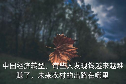 中國經(jīng)濟轉(zhuǎn)型，有些人發(fā)現(xiàn)錢越來越難賺了，未來農(nóng)村的出路在哪里