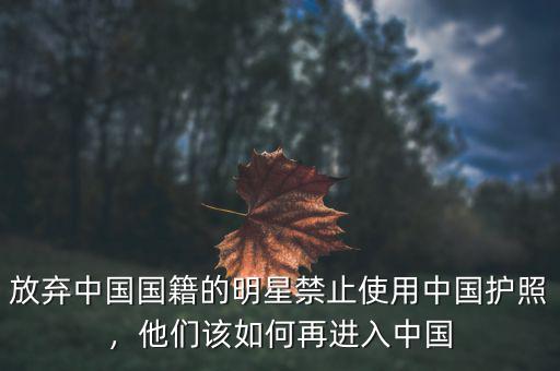 放棄中國國籍的明星禁止使用中國護照，他們該如何再進入中國