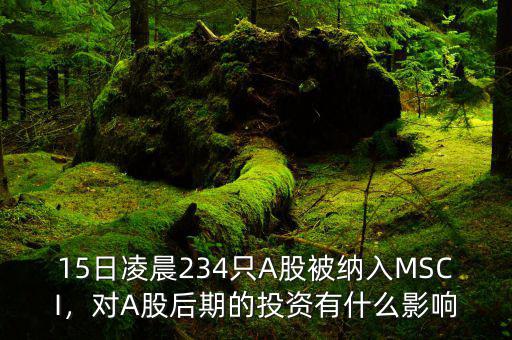 15日凌晨234只A股被納入MSCI，對(duì)A股后期的投資有什么影響