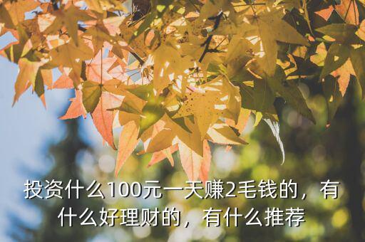 投資什么100元一天賺2毛錢的，有什么好理財?shù)?，有什么推薦