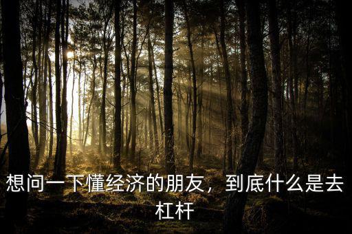 想問一下懂經(jīng)濟(jì)的朋友，到底什么是去杠桿