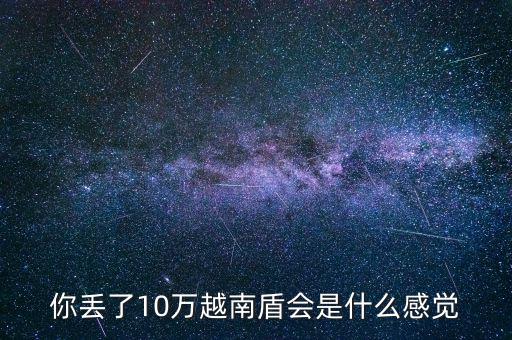 10萬人民幣是多少越南盾,10萬人民幣在越南多少錢