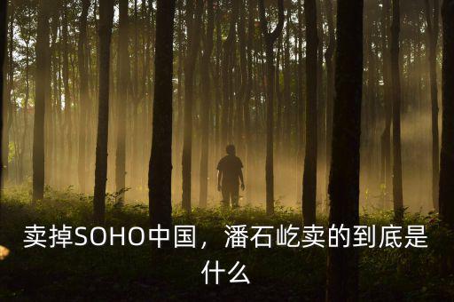 賣掉SOHO中國，潘石屹賣的到底是什么