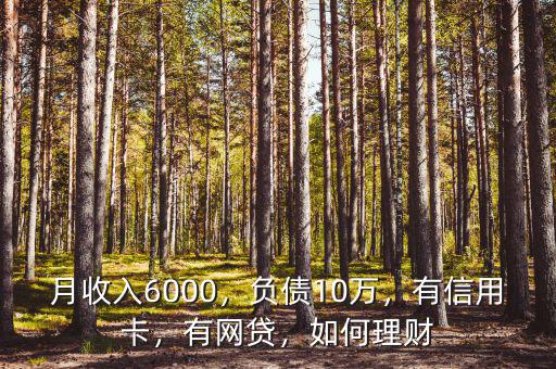 月收入6000，負(fù)債10萬，有信用卡，有網(wǎng)貸，如何理財(cái)