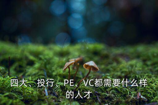 四大、投行、PE、VC都需要什么樣的人才