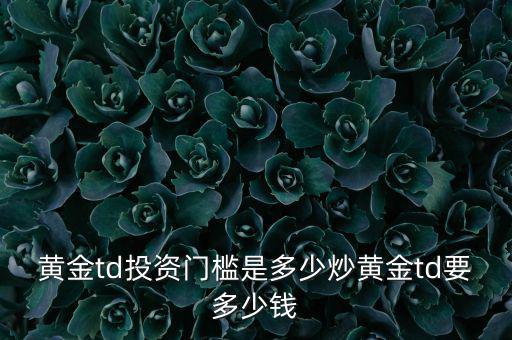 黃金td投資門檻是多少炒黃金td要多少錢