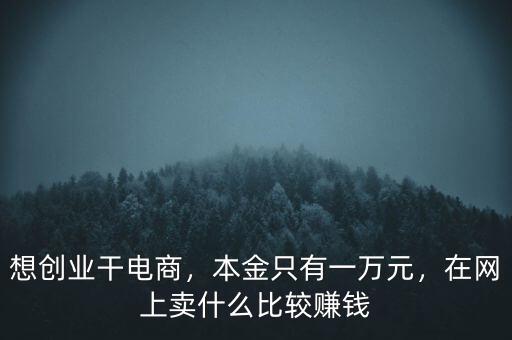 想創(chuàng)業(yè)干電商，本金只有一萬元，在網(wǎng)上賣什么比較賺錢