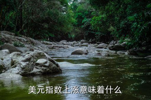 美元指數(shù)上漲意味著什么