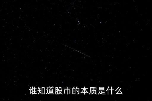 誰知道股市的本質(zhì)是什么