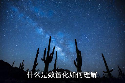 什么是數(shù)智化如何理解