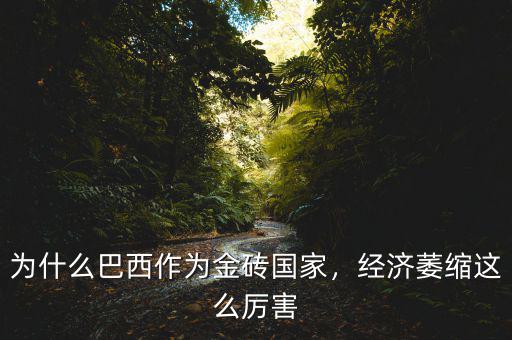 巴西經(jīng)濟為什么衰退,為什么巴西作為金磚國家