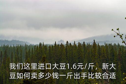 我們這里進(jìn)口大豆1.6元/斤，新大豆如何賣多少錢一斤出手比較合適