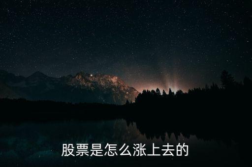 股票是怎么漲上去的