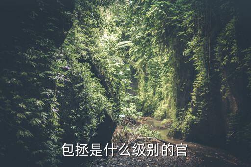 包拯是什么級別的官