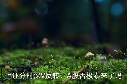 上證分時(shí)深V反轉(zhuǎn)，A股否極泰來了嗎