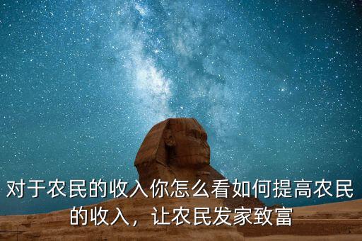 對于農民的收入你怎么看如何提高農民的收入，讓農民發(fā)家致富