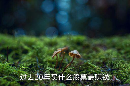 2016什么股票最熱門,過去20年買什么股票最賺錢