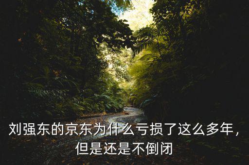 劉強(qiáng)東的京東為什么虧損了這么多年，但是還是不倒閉