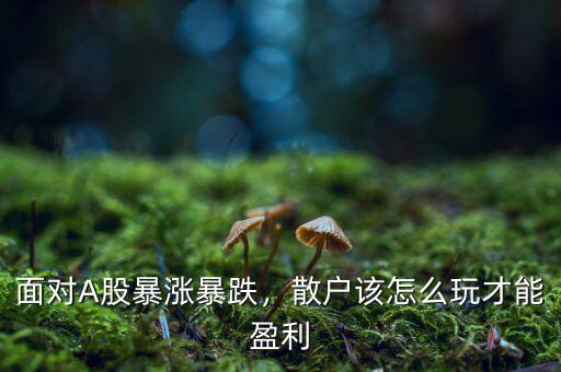 面對(duì)A股暴漲暴跌，散戶該怎么玩才能盈利