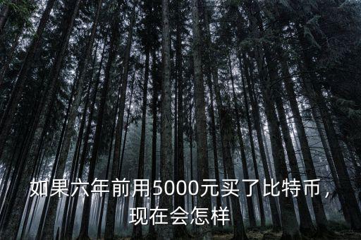 如果六年前用5000元買了比特幣，現(xiàn)在會(huì)怎樣