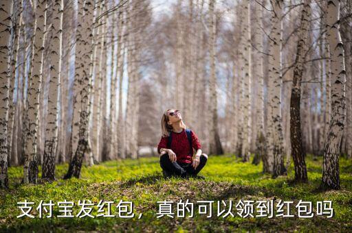 支付寶討紅包給多少,支付寶發(fā)紅包