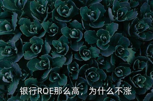 銀行ROE那么高，為什么不漲