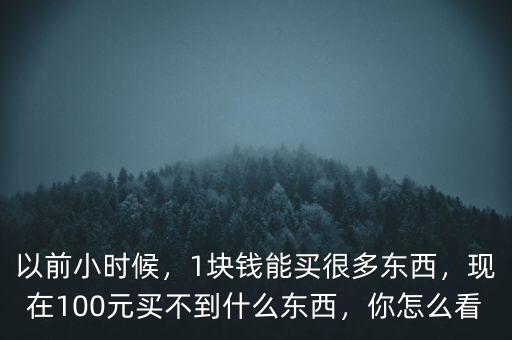 以前小時(shí)候，1塊錢能買很多東西，現(xiàn)在100元買不到什么東西，你怎么看