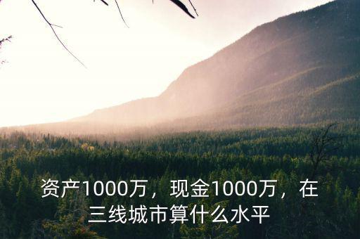 1000萬資產(chǎn)算什么人群,資產(chǎn)1000萬