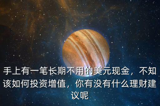 手上有一筆長期不用的美元現(xiàn)金，不知該如何投資增值，你有沒有什么理財建議呢