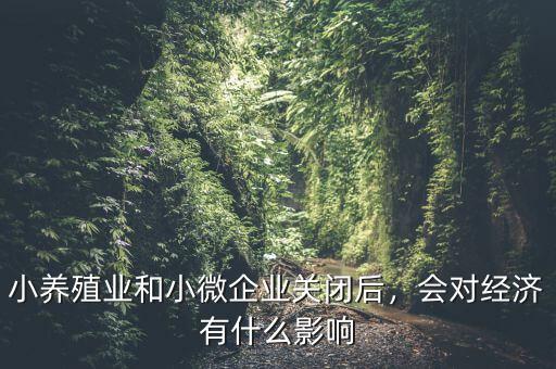 小養(yǎng)殖業(yè)和小微企業(yè)關(guān)閉后，會對經(jīng)濟(jì)有什么影響