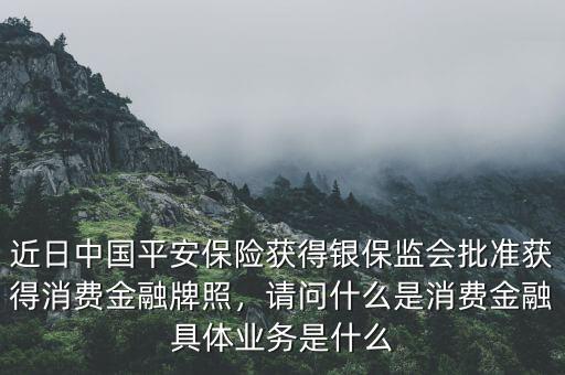 什么是金融消費(fèi),具體業(yè)務(wù)是什么