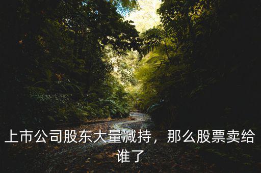 上市公司股東大量減持，那么股票賣給誰了