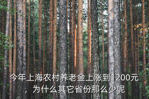 今年上海農村養(yǎng)老金上漲到1200元，為什么其它省份那么少呢