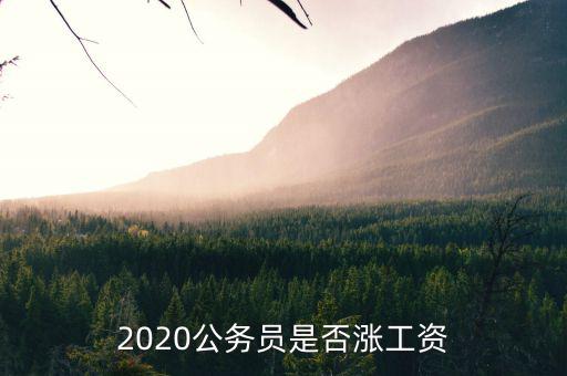 2020公務(wù)員是否漲工資