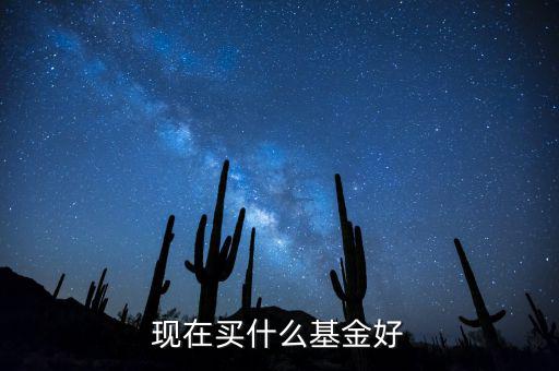 現(xiàn)在買(mǎi)什么基金好