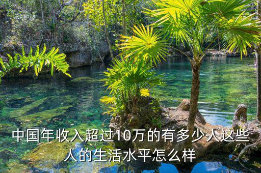 中國(guó)年收入超過10萬(wàn)的有多少人這些人的生活水平怎么樣